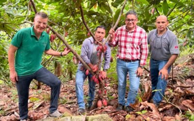 Honduras atraerá a importantes firmas compradoras de cacao